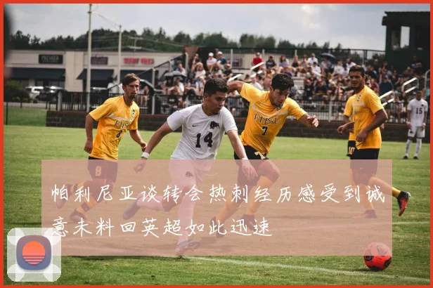 帕利尼亚谈转会热刺经历感受到诚意未料回英超如此迅速