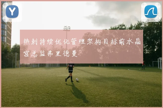 热刺持续优化管理架构目标前水晶宫总监弗里德曼