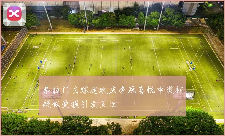 弗拉门戈球迷欢庆夺冠喜悦中奖杯疑似受损引发关注