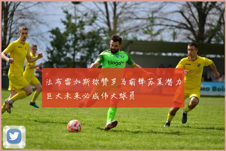 法布雷加斯称赞罗马前锋苏莱潜力巨大未来必成伟大球员